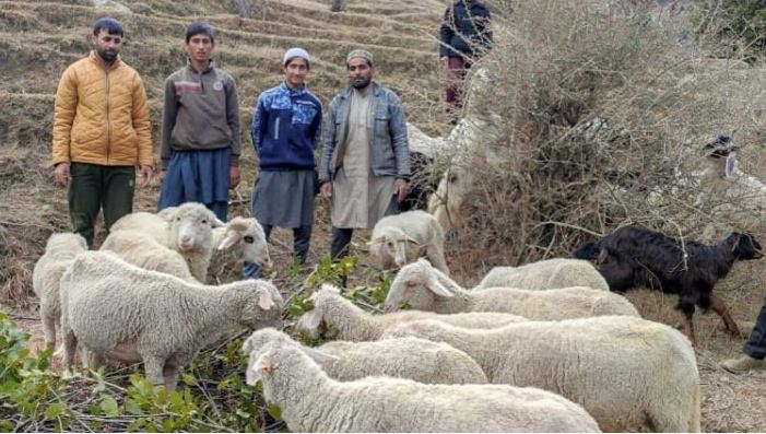 800 mini Sheep Farm units allotted to tribal youth: Dr Shahid - Sach News  Network Jammu Kashmir Ladakh | Daily Sach